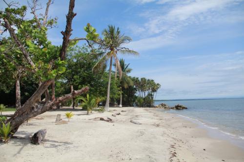 vendo terreno sobre playa de livingston izabal 48.70 mts.x96.44