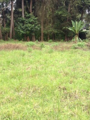 Vendo Terreno en San Lucas 