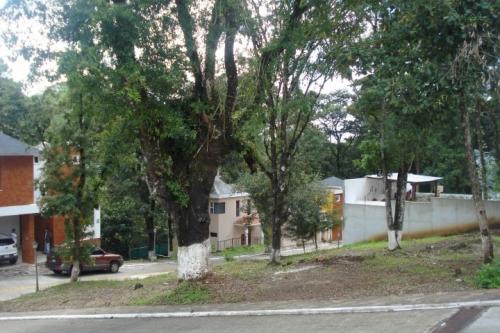 El Encinal, Mixco  Terreno Venta 18.50 X30.00