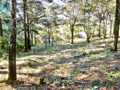 Vendo terreno en San Lucas Sacatepequez