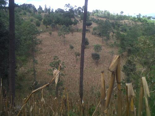 CHIMALTENANGO, 22 cuerdas en el kilometro 58.3 carretera interamericana
