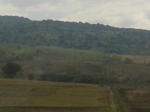 FINCA 7 CABALLERIAS SAYAXCHE PETEN, IDEAL CULTIVOS, GANADO