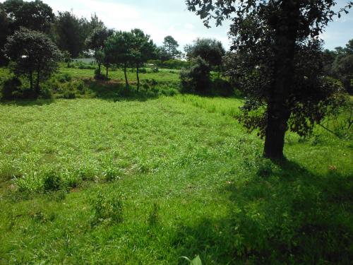 TERRENO 14.5 MANZANAS CHIMALTENANGO, PLANAS ZONA 3