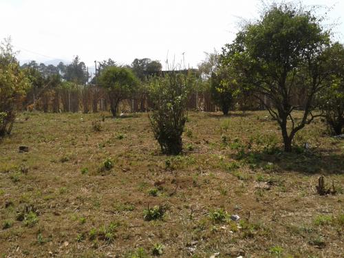 TERRENO 40x45 MTS, INCLUYE CASA CIRCULADO, PORTON, POZO, CHIMALTENANGO