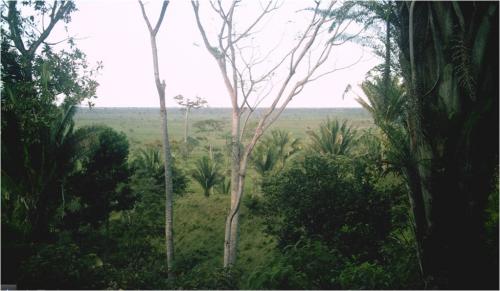 FINCA 28 CABALLERIAS, BAHIA DE AMATIQUE PUERTO BARRIOS IZABAL