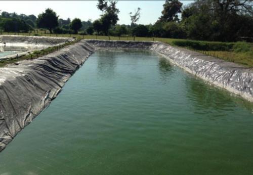 FINCA 2 CABALLERIAS CON BOSQUE, ARBOLES FRUTALES, APIARIO, VIVERO, CORRALES, ESTANQUE TILAPIA