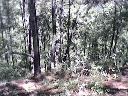 FINCA 2 CABALLERIAS 37 MZ, SAN MARTIN JIL, CHIMALTENANGO