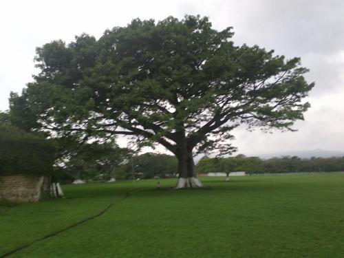 Villa Canales, Aldea El Jocotillo 32.5 Manzanas