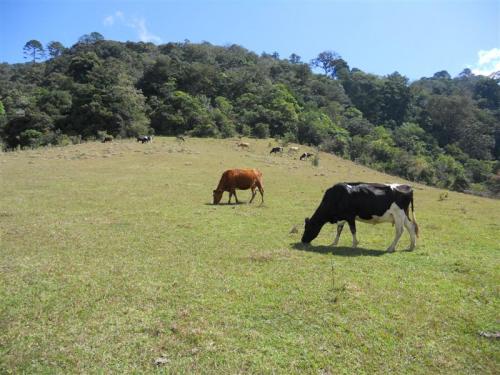 Terreno de 43 Manzanas, San José Pínula