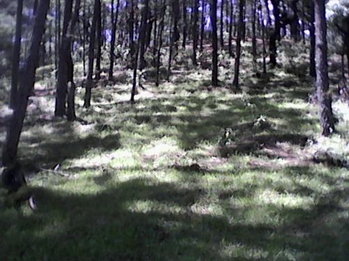 FINCA BARATA 1 CABALLERIA 43 MZ SAN MARTIN JIL, CHIMALTENANGO