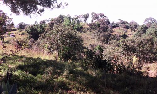 Finca 42 manzanas Sn Raymundo, Guatemala, pozo mecanico,Casa Patronal