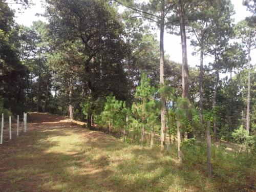 Carretera a el Salvador a 12 mins. de Pradera Concepción