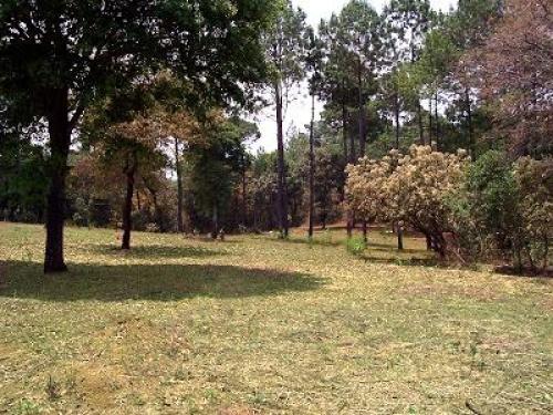 Terrenos desde 8 x 29 mts. en San Juan