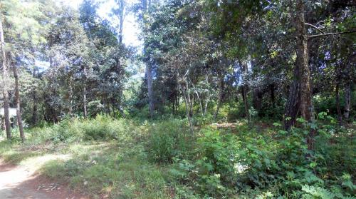 Venta Tres Manzanas San Lucas