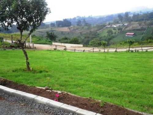  Terrenos por Gasolinera Texaco la Cuchilla Km. 25  