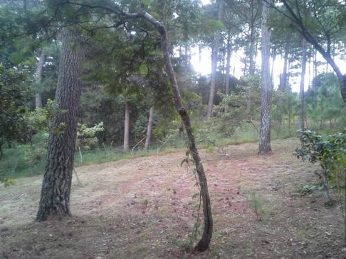 Terrenos en San Juan Sacatepéquez