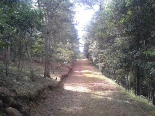 Terrenos en Promoción en San Juan Sacatepéquez 