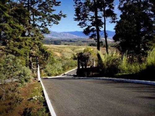 Terrenos desde 12 x 21 metros	