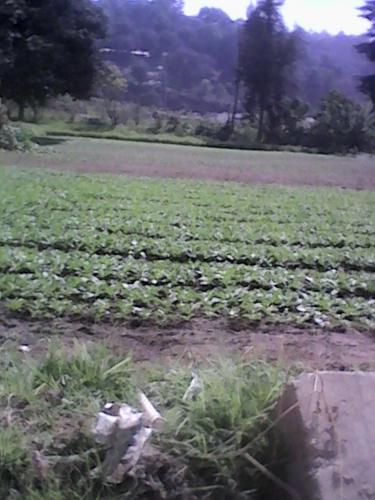 TERRENOS ORILLA INTERAMERICANA SACATEPEQUEZ KM 36.5 URBANIZADOS, FINANCIAMIENTO