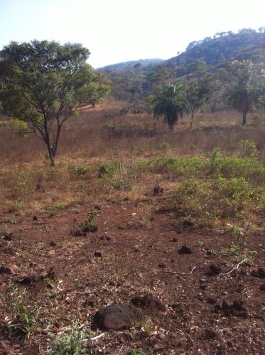 FINCA 224 MANZANAS ORATORIO SANTA ROSA, GANADO, CULTIVOS, GRANJAS