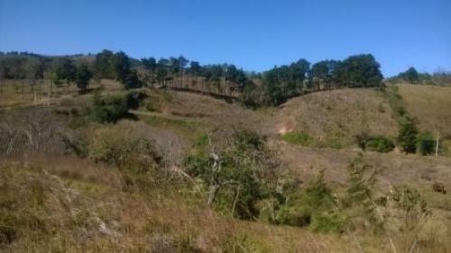 Adquiere tu terreno desde 12 x 21 metros