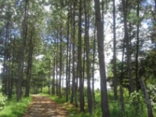 Terrenos en Venta en San Juan Sacatepéquez