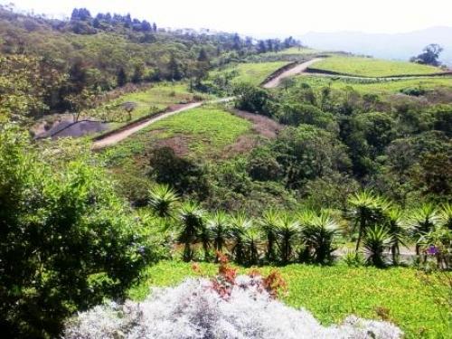 Terreno por el Km. 25 por Texaco la Cuchilla	