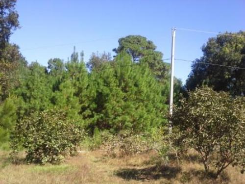  Terrenos en Venta en San Juan Sacatepéquez