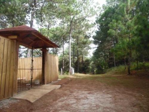 Terrenos cerquita del Parque de San Juan