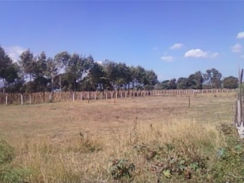 Hermosos terrenos desde 12 x 26 metros