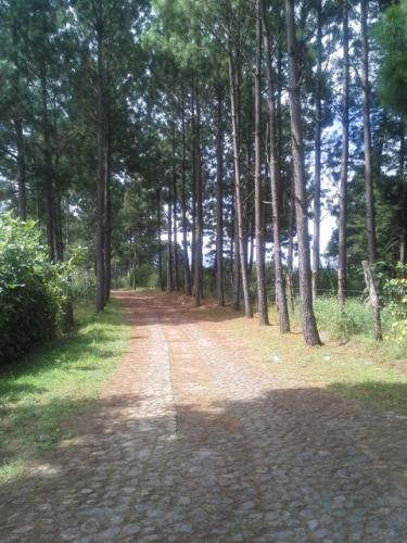  Terrenos en Venta en San Juan Sacatepéquez