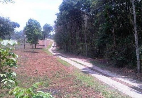 Terrenos con financiamiento desde 8 x 25 mts.