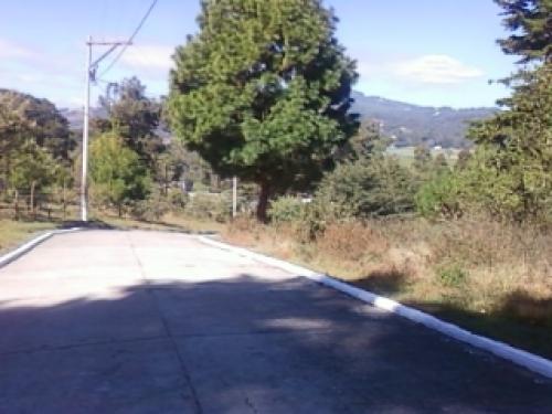 Terrenos desde 9 x 28 metros 