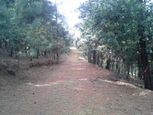  Terrenos en Venta en San Juan Sacatepéquez