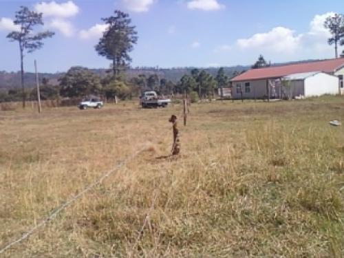 Amplio terreno de 12 x 26 metros