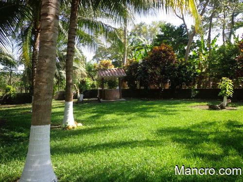 VENDO PRECIOSA FINCA PARA DESCANSO O PARA TRABAJAR MUY BUENA INVERSION