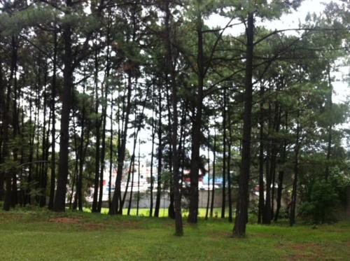 Villa Nueva 4.2 manzanas Km.18.5 ruta a Amatitlán