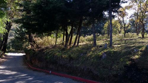 GANGA, Remato Terreno en San Lucas Sacatepéquez 