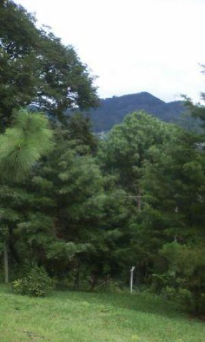 Amplios terrenos Semi-Inclinados