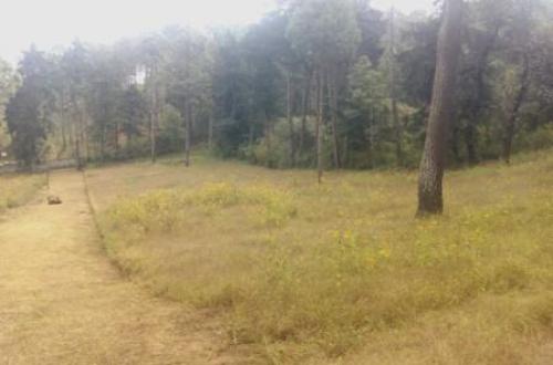 Amplios terrenos con financiamiento