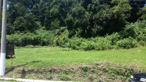 Se vende terreno en Terravista Coventry Km. 16.5 Carretera Salvador