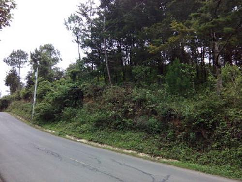 LOTES ORILLA CARRETERA KM 27.8 RUTA XENACOJ FINANCIAMIENTO BARATOS