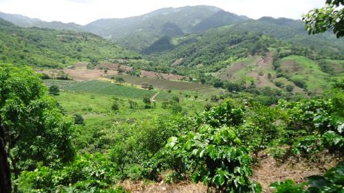 Vendo Finca y Ecoturicentro El paraíso