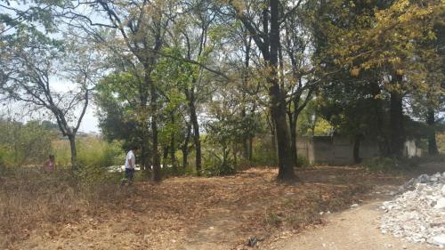 VENDO TERRENO PLANO Y GRANDE EN MARGARITAS II