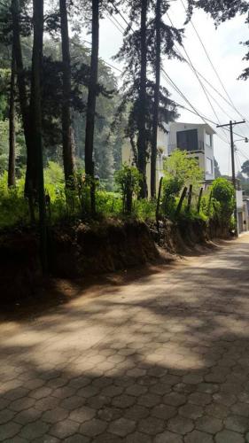 VENDO TERRENO DE 3 MANZANAS SAN LUCAS