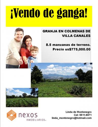 VENDO GRANJA COLMENAS DE VILLA CANALES