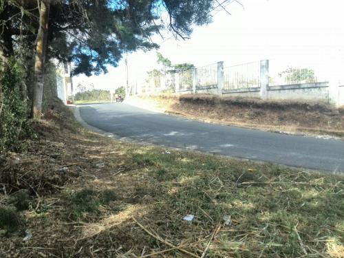 Vendo Terrenos de 10m.x50m. en carretera El Salvador Lo De Diéguez