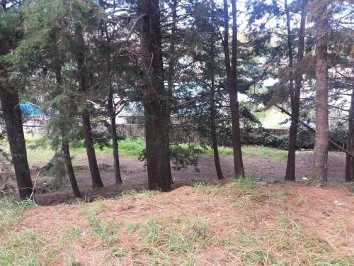 Terreno en Residenciales entre Bosque