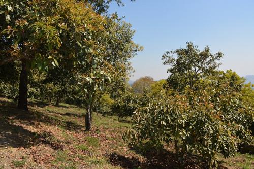 Terreno en Santo Tomas Milpas Altas