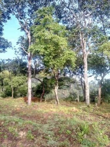 PRECIOSOS TERRENOS EN VENTA EN CHIMALTENANGO SIN ENGANCHE